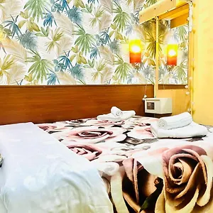 Green Guesthouse , Roma Itália